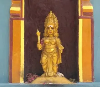 களவிகரணி