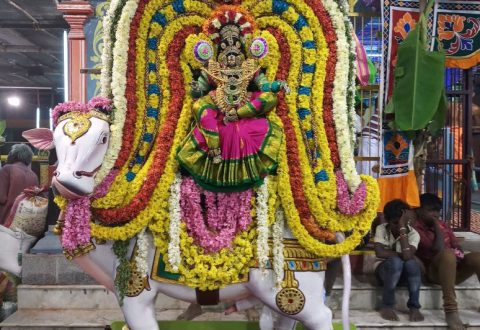 Sri AngalaParameswari amman (8)